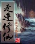 走进修仙封面
