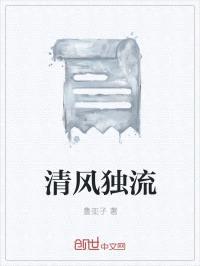 清风独流封面