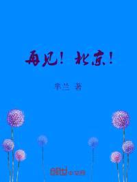 再见！北京封面