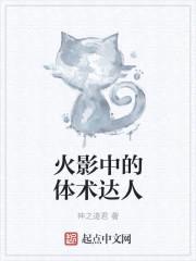 火影中的体术达人封面