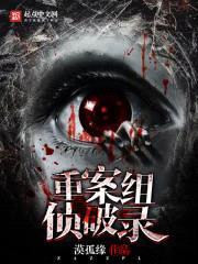 重案组侦破录封面