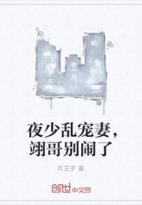 夜少乱宠妻，翊哥别闹了封面