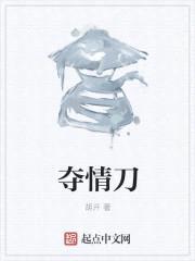 夺情刀封面