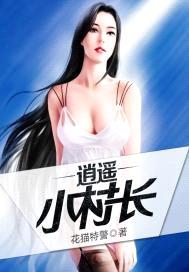 逍遥小村长封面