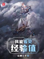 我能看见经验值封面