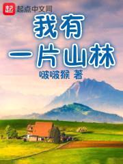 我有一片山林封面
