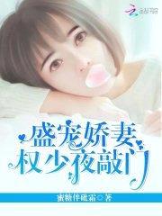 盛宠娇妻，权少夜敲门封面