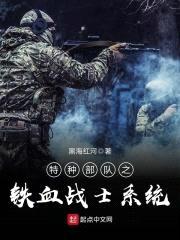 特种部队之铁血战士系统封面