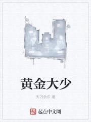 黄金大少封面