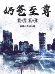 奶爸至尊都市纵横封面