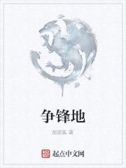 争锋地封面