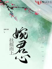 扶摇而上婉君心封面