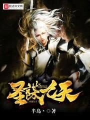 圣谋九天封面