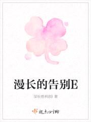 漫长的告别E封面