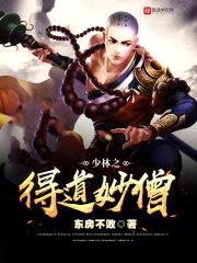 少林之得道妙僧封面