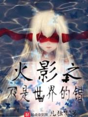 火影之不是世界的错封面