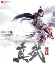 真武称尊封面