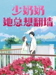 甜妻要翻墙：先生，早上好封面