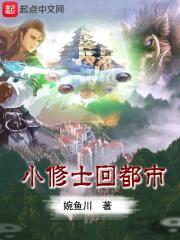 小修士回都市封面