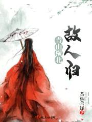 青山横北故人归封面