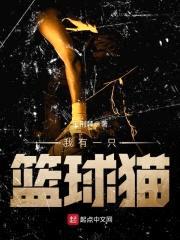 我有一只篮球猫封面