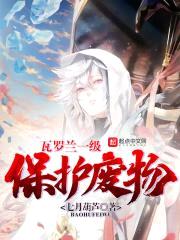 瓦罗兰一级保护废物封面