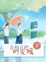 青梅且把时光暖封面