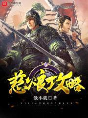 慈烺攻略封面