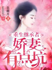 重生继承者：娇妻有点坑封面