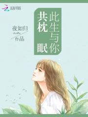 此生与你共枕眠封面