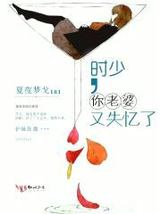 时少，你老婆又失忆了封面