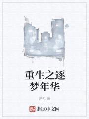 重生之逐梦年华封面