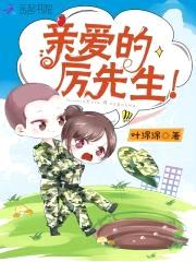 亲爱的，厉先生！封面