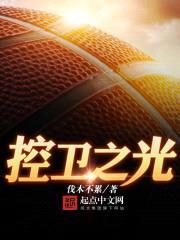 控卫之光封面