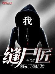 最后一个缝尸匠封面