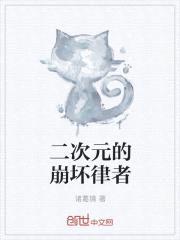 二次元的崩坏律者封面