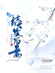 结发为妻封面