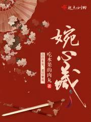 婉心藏封面
