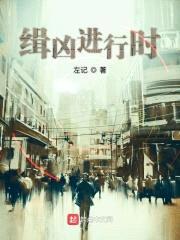 缉凶进行时封面