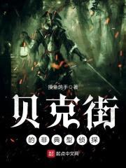 贝克街的非典型侦探封面