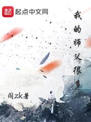 我的师父很多封面