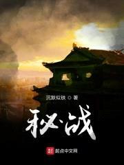 秘战封面