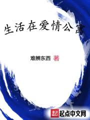 生活在爱情公寓封面
