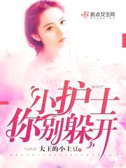 小护士你别躲开封面