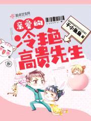 亲爱的冷艳高贵先生封面