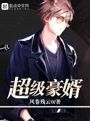 超级豪婿封面