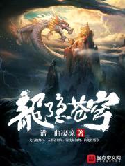龙隐苍穹封面