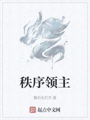 秩序领主封面