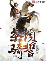 条顿骑誓封面