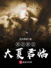 天之炽之大夏君临封面